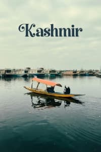 Shikara boat on Dal Lake surrounded by houseboats, Kashmir
